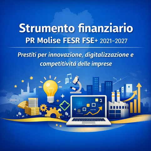 Strumento Finanziario Fesr Fse Strumento Finanziario Fesr Fse 2021-2027